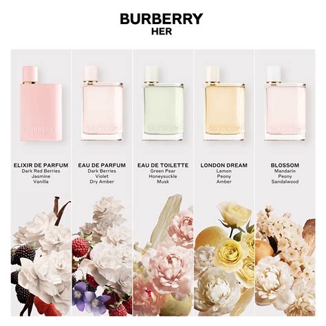 burberry eau de parfum notes|what does Burberry smell like.